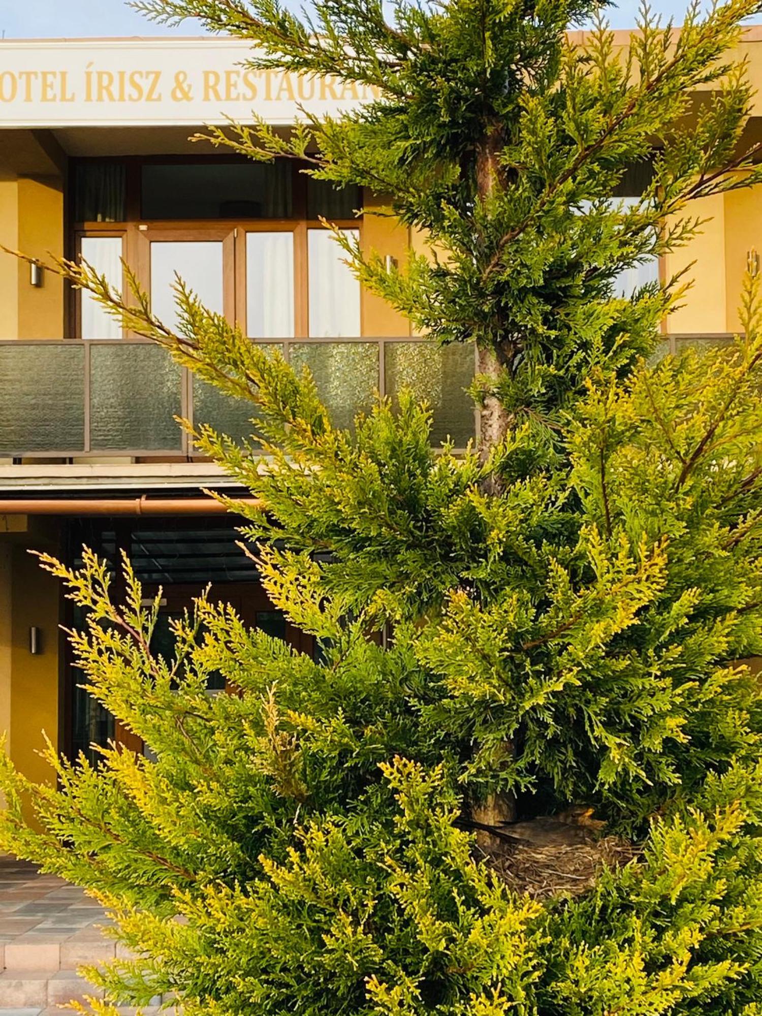 Hotel Irisz Nyíregyháza Екстериор снимка